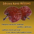 DXN-káva a ostatní produkty s houbou Reishi-Ganoderma Lucidum